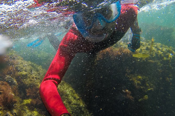 Snorkeling - Marine Park Discovery - Recommended Preparation Tips