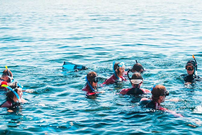 Snorkeling - Marine Park Discovery - Safety Considerations