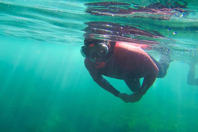 Snorkeling - Marine Park Discovery - Pricing and Booking Options
