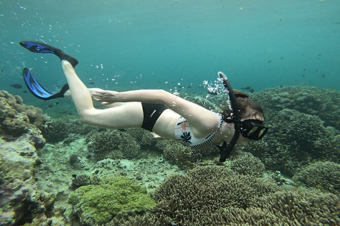 Snorkeling Nusa Lembongan - Snorkeling Trips With Manta Ray - Safety and Equipment Provided