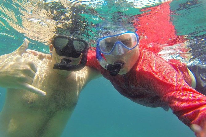 Snorkeling on the Caribbean Side of Panama - Snorkeling the Caribbean Waters