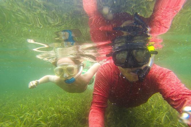 Snorkeling on the Caribbean Side of Panama - Discovering the Coral Reefs