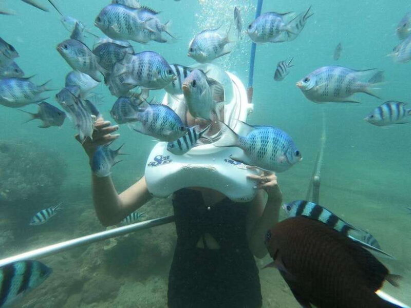 Snorkeling Or Scuba Diving In Cham Islands - Champas Ancient Well and Love Traditions