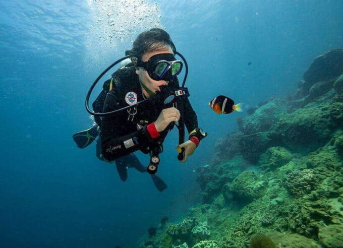 Snorkeling Or Scuba Diving In Cham Islands - Itinerary and Transportation