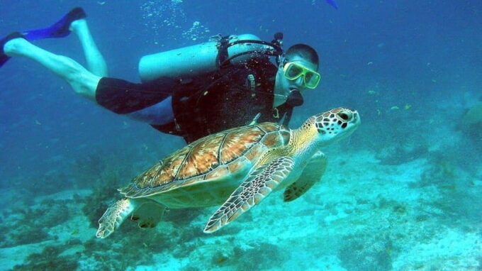 Snorkeling Or Scuba Diving In Cham Islands - Customer Experiences and Recommendations