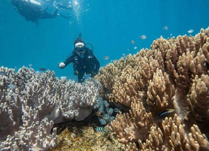 Snorkeling Or Scuba Diving In Cham Islands - Frequently Asked Questions