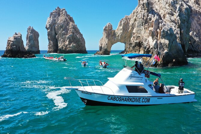 Snorkeling or Swimming With Sharks in Cabo San Lucas - Highlights of the Experience