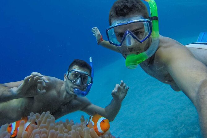 Snorkeling Paddle Private Catamaran 1/2 Day Turks and Caicos Islands - About Your Stay