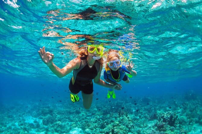 Snorkeling Paddle Private Catamaran 1/2 Day Turks and Caicos Islands - Preparing for the Private Catamaran Tour