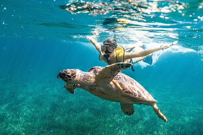 Snorkeling, Parasail and Jet Ski - Safety and Participation Guidelines
