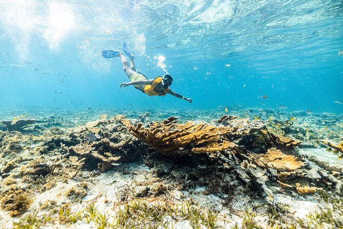 Snorkeling, Parasail and Jet Ski - Snorkeling Highlights