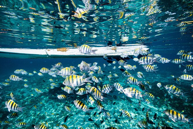 Snorkeling, Parasail and Jet Ski - Parasailing Highlights