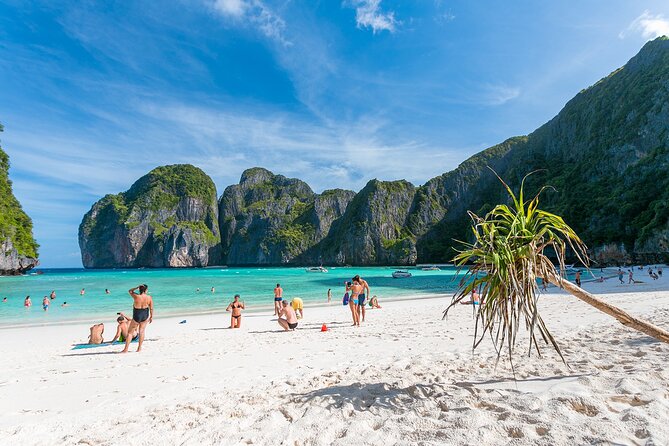 Snorkeling Phi Phi Islands Tour From Phi Phi by Longtail Boat - Wildlife Sightings