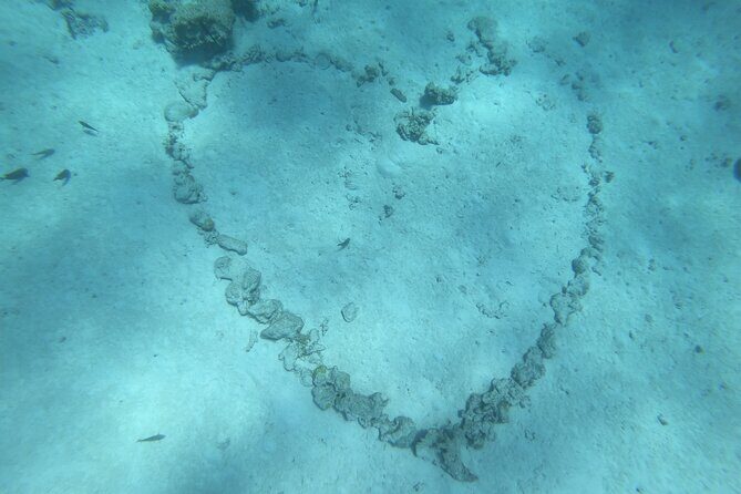 Snorkeling picnic in 4h30 with lunch in Tahiti - Frequently Asked Questions