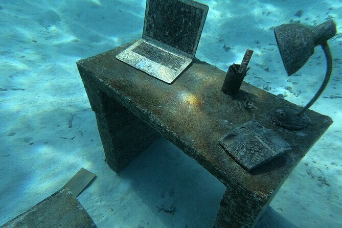 Snorkeling picnic in 4h30 with lunch in Tahiti - Final Thoughts