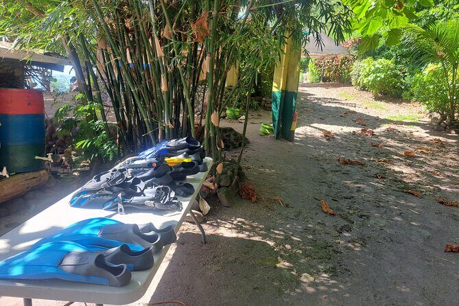 Snorkeling Point with Panoramic View and Hot Spa Bath - What Reviewers Say
