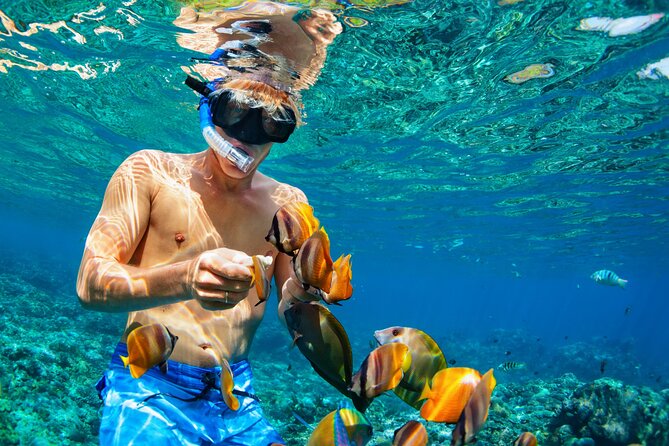 Snorkeling Private Tour in San Juan - Pickup and Drop-off Details