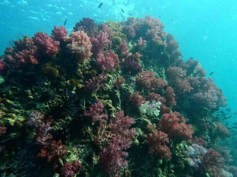 Snorkeling program 1 private boat lunch included - FAQ
