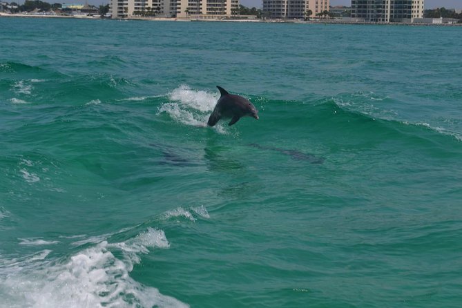 Snorkeling, Shelling & Eco Excursion - Optional Activities and Customization