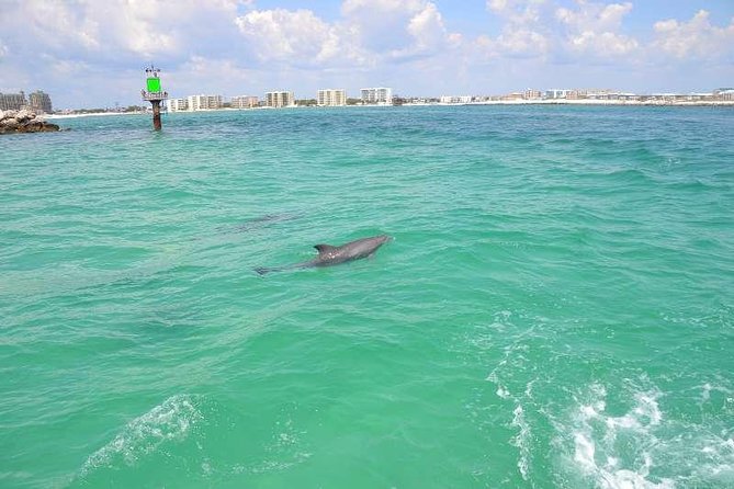 Snorkeling, Shelling & Eco Excursion - Preparing for the Aquatic Adventure