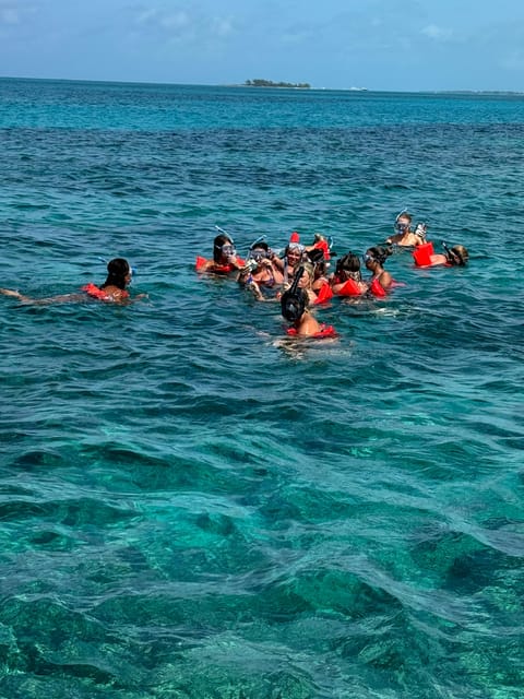 Snorkeling, Swimming Pigs , Turtles, Harbor Tour - Customer Feedback