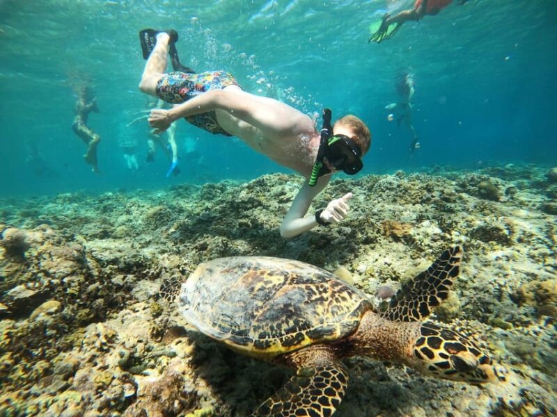 Snorkeling Swimming With Turtle & Underwater Statue - Inclusions and Equipment