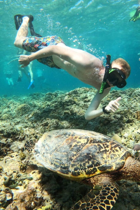 Snorkeling Swimming With Turtle & Underwater Statue - Tour Highlights