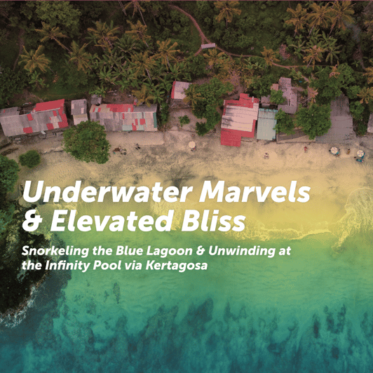Snorkeling the Blue Lagoon & Unwinding at the Infinity Pool - Key Points