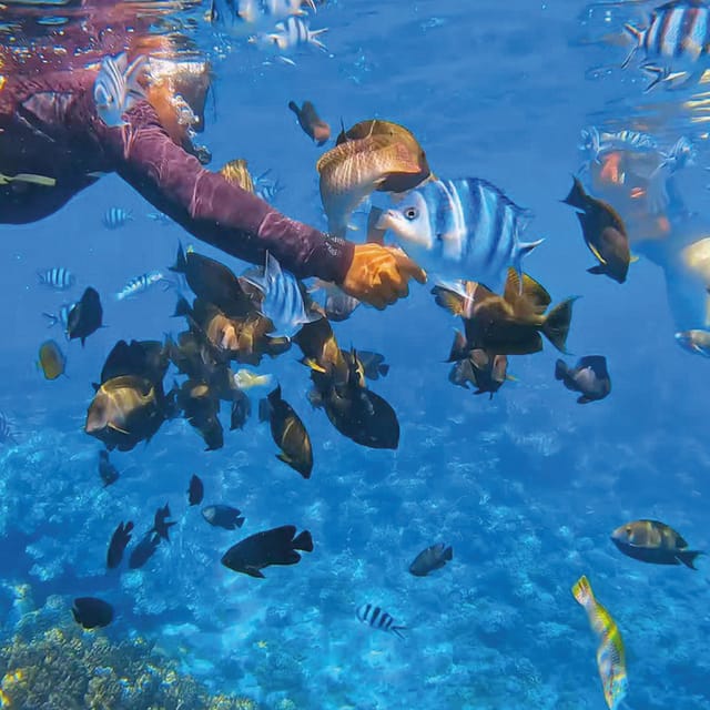 Snorkeling the Blue Lagoon & Unwinding at the Infinity Pool - Infinity Pool Relaxation