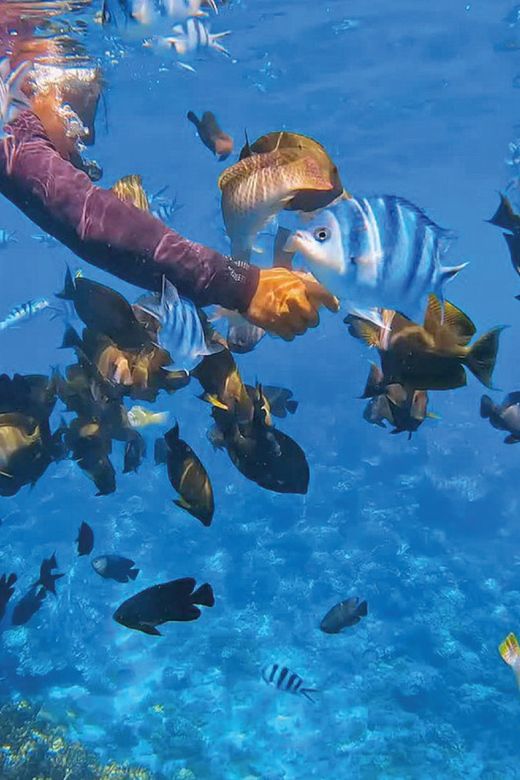 Snorkeling the Blue Lagoon & Unwinding at the Infinity Pool - Frequently Asked Questions
