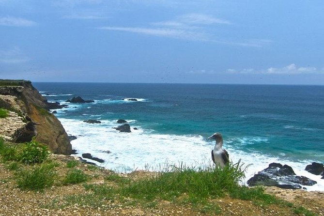 Snorkeling Tour and Whales Watching - Machalilla National Park - Meeting Point and Timing