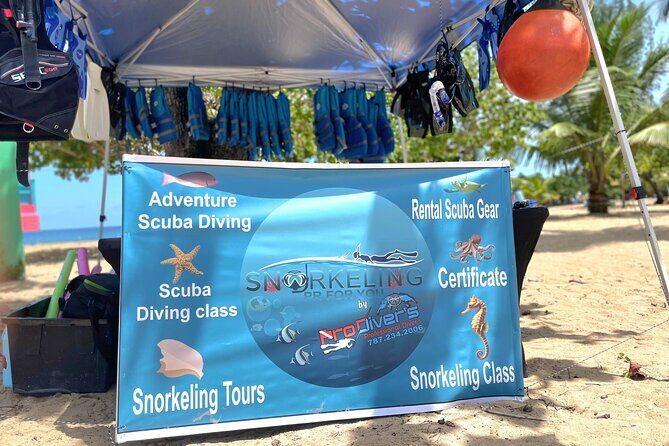 Snorkeling Tour at Cerro Gordo Beach Vega Alta Puerto Rico - Key Points