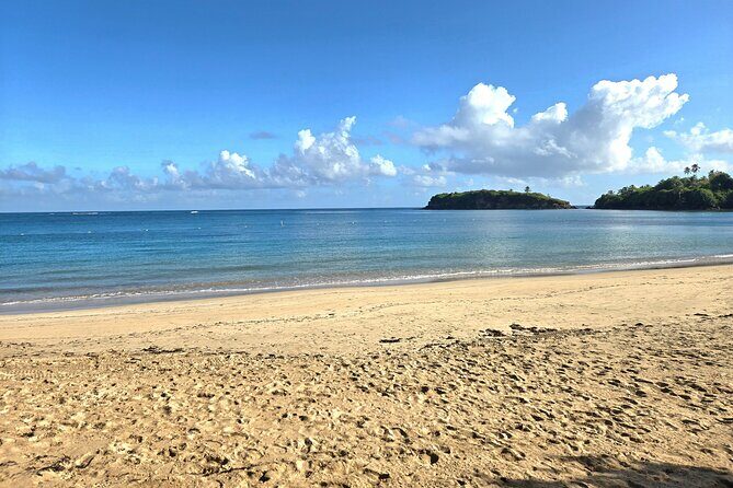Snorkeling Tour at Cerro Gordo Beach Vega Alta Puerto Rico - Who Should Consider This Tour?