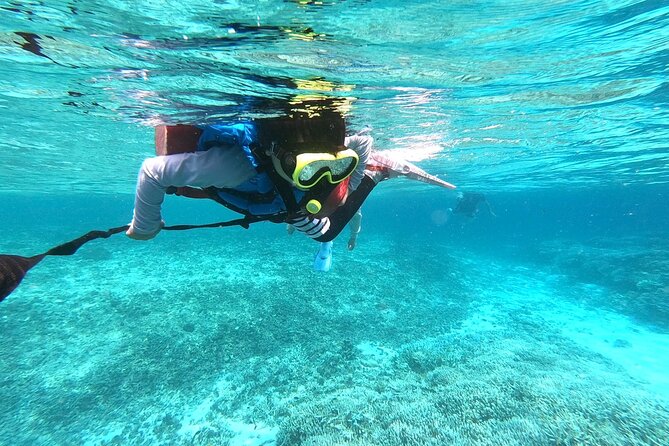 Snorkeling Tour at Coral Island in Iriomote, Okinawa - Location and Directions