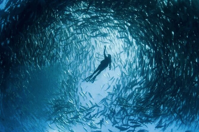 Snorkeling Tour at Lands End in Cabo San Lucas - Meeting and Pickup Details