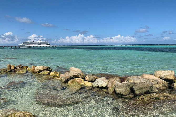 Snorkeling Tour by Boat (Amazing Excursion to the Turtle Area) - Accessibility and Restrictions