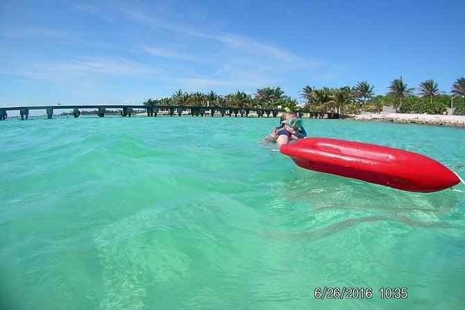 Snorkeling Tour by Boat (Amazing Excursion to the Turtle Area) - Frequently Asked Questions