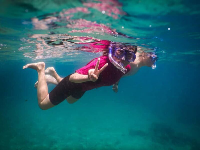 Snorkeling Tour: Discover Sydneys impressive sea life - FAQs