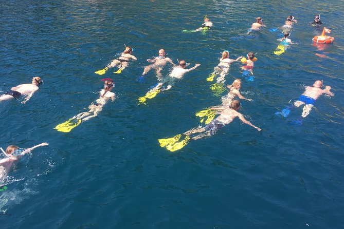 Snorkeling Tour From Coast to Coast of Taormina & Isola Bella - Included Equipment