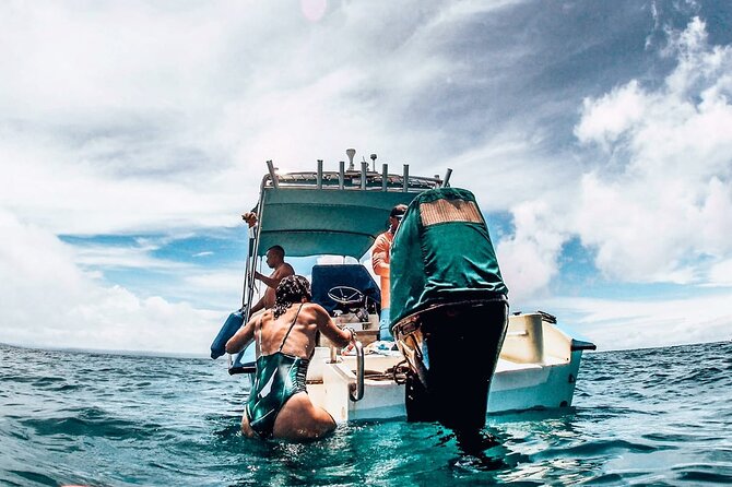 Snorkeling Tour in Caño Island With Lunch - Inclusions and Amenities