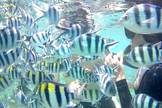 Snorkeling Tour In Gili Nanggu - Tour Details and Highlights