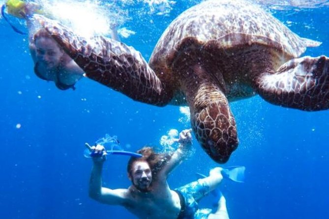 Snorkeling Tour In Gili Trawangan, Gili Meno And Gili Air Pick Up From Bali - Inclusions
