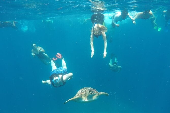 Snorkeling Tour In Gili Trawangan, Gili Meno And Gili Air Pick Up From Bali - Additional Information
