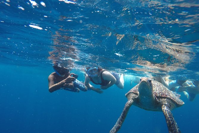 Snorkeling Tour In Gili Trawangan, Gili Meno And Gili Air Pick Up From Bali - Snorkeling Destinations