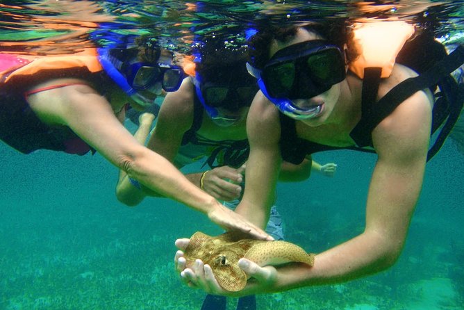 Snorkeling Tour in Puerto Morelos - Recommended Attire and Precautions