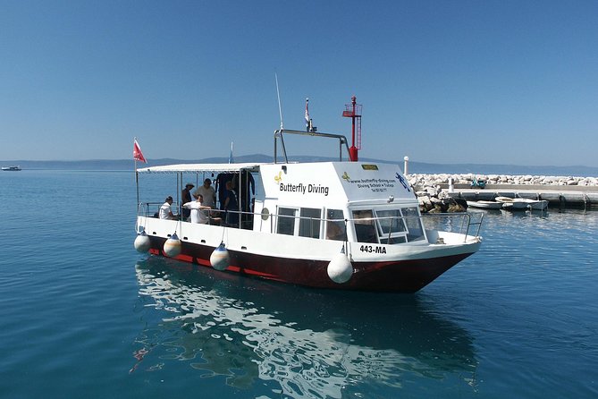 Snorkeling Tour Makarska Riviera, Islands of Hvar or Brač - Physical Fitness Requirements