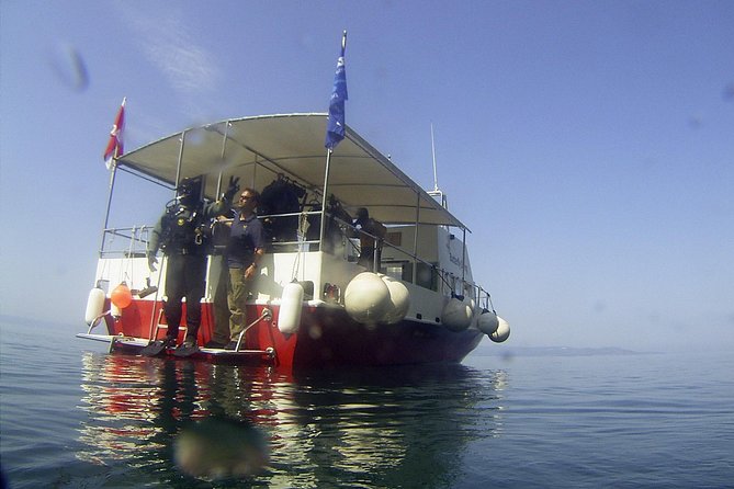 Snorkeling Tour Makarska Riviera, Islands of Hvar or Brač - Customer Ratings