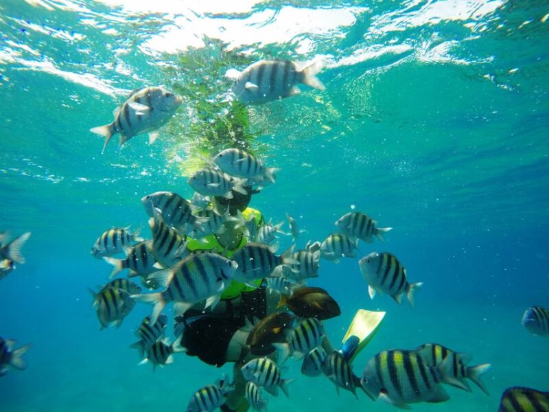Snorkeling Tour & Sosua Beach Day - Key Points