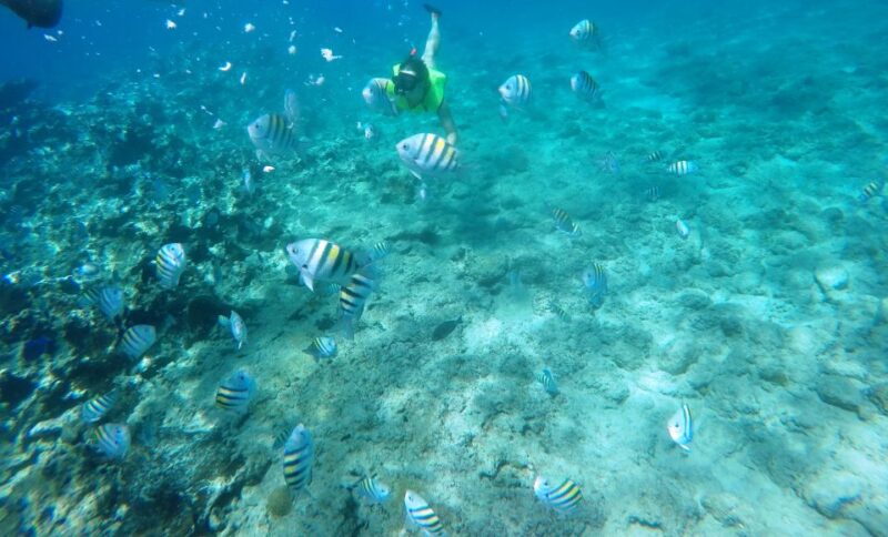 Snorkeling Tour & Sosua Beach Day - Cancellation Policy