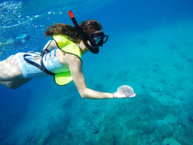 Snorkeling Tour & Sosua Beach Day - Suitability and Requirements